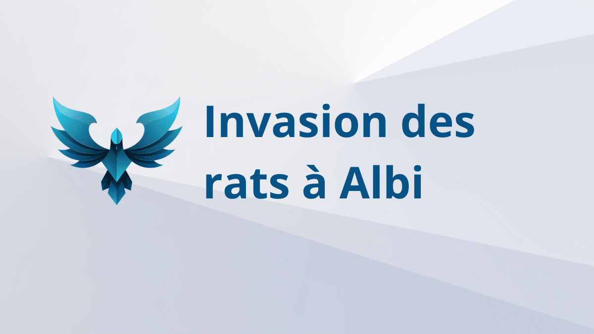 invasion rats albi
